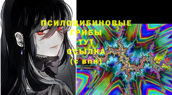 гидропоника Няндома