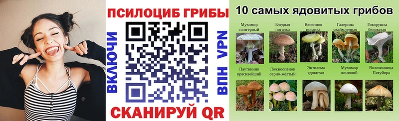 хочу   Фурманов  Галлюциногенные грибы Cubensis 
