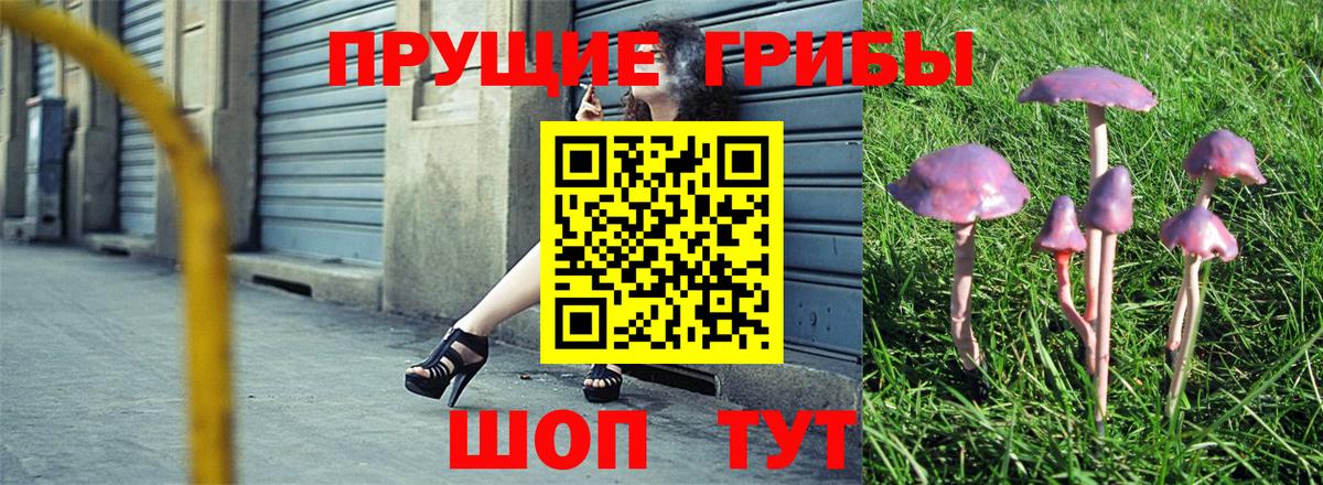 Псилоцибиновые грибы Psilocybine cubensis  Вход с VPN  Псилоцибиновые грибы Psilocybe  Фурманов 